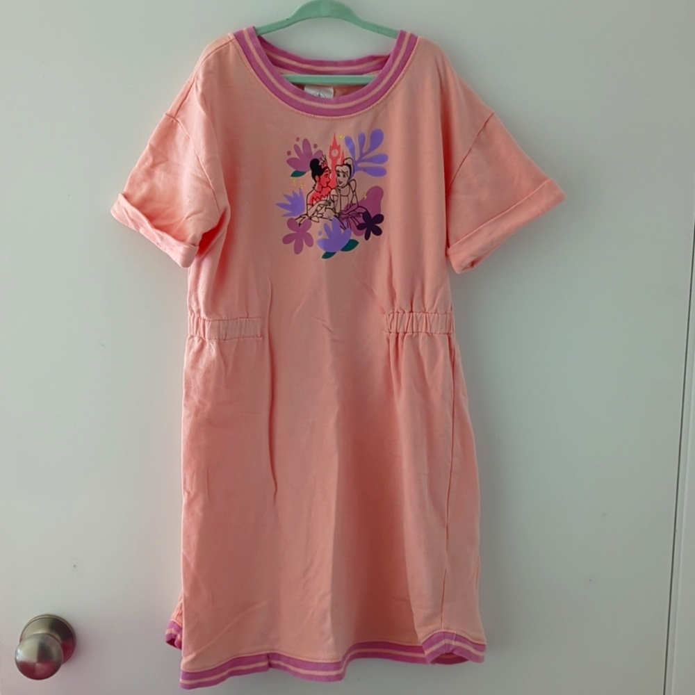 Disney princess dress